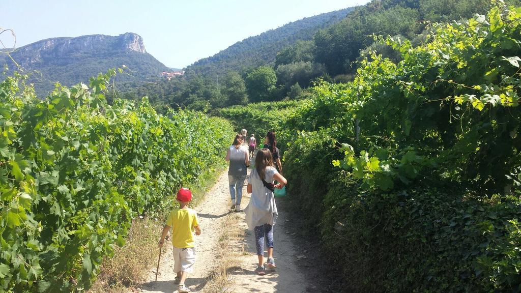 Il Villaggio Di Giuele Finale Ligure Esterno foto