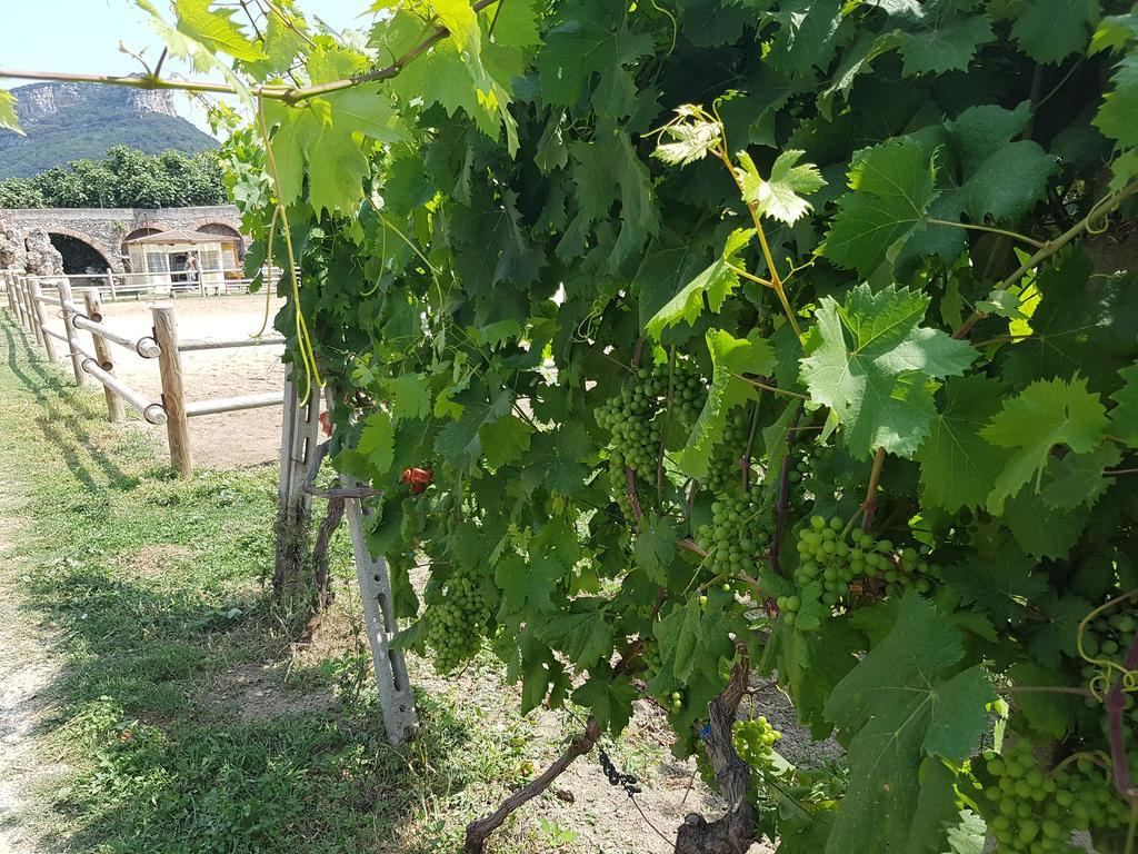 Il Villaggio Di Giuele Finale Ligure Esterno foto